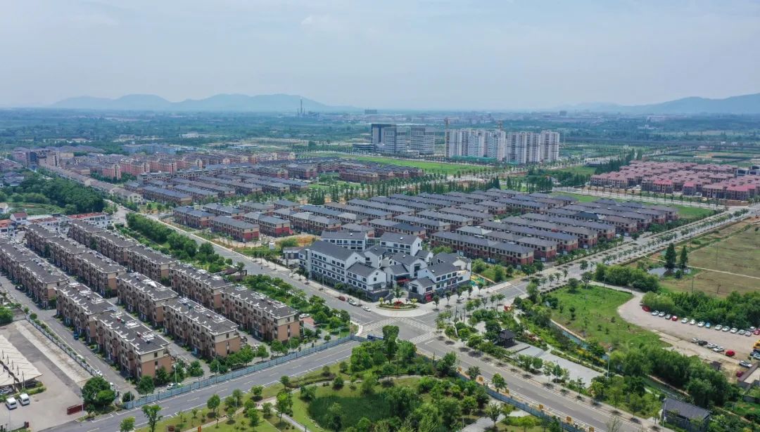 天子湖镇高禹村:着墨和美 落笔共富 | 咱们村里说共富④