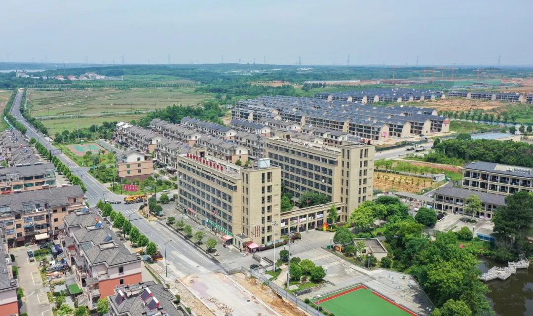 天子湖镇高禹村:着墨和美 落笔共富 | 咱们村里说共富④