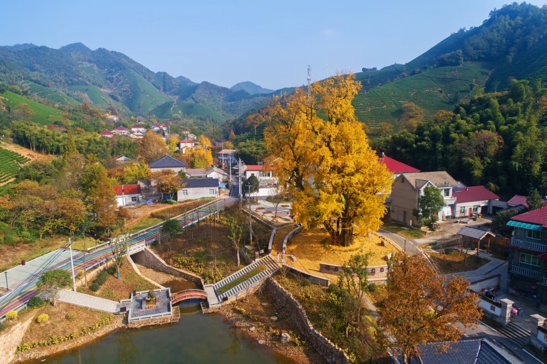 梅溪镇钱坑桥村古银杏公园焕发"新生机"((3370810)-20221202085121.