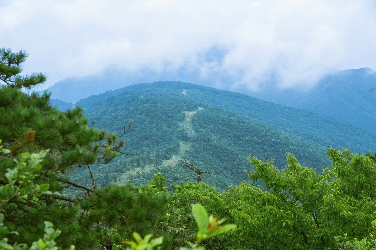 即使遇到连续高温和严酷的干旱年景,安吉水资源总是取之不尽,用之不竭